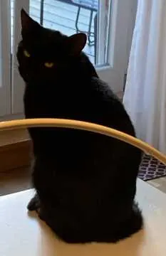 Emma, Delbrück