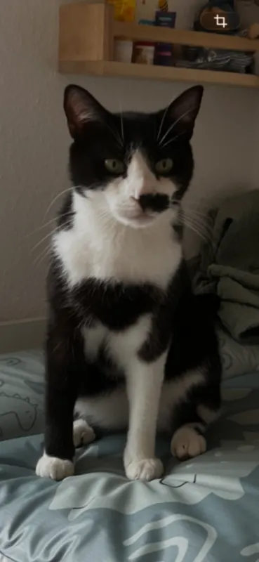 Rufus, Waiblingen