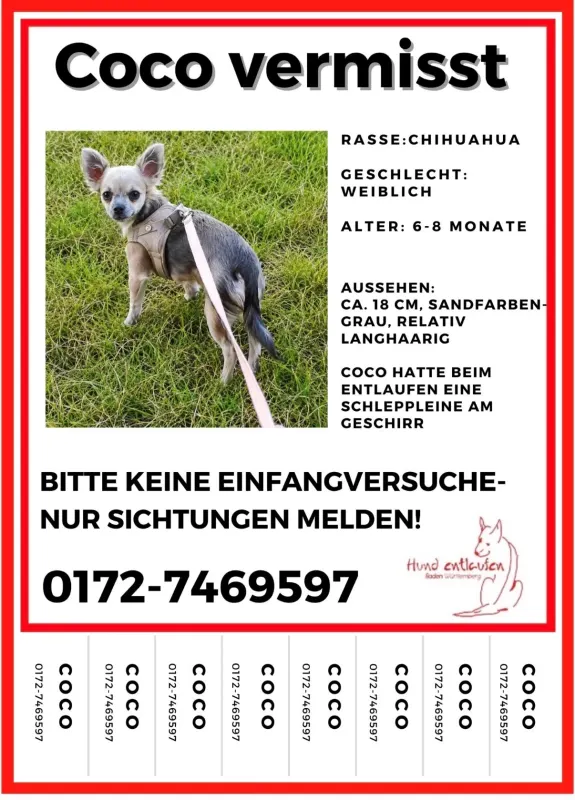 Coco, Waiblingen
