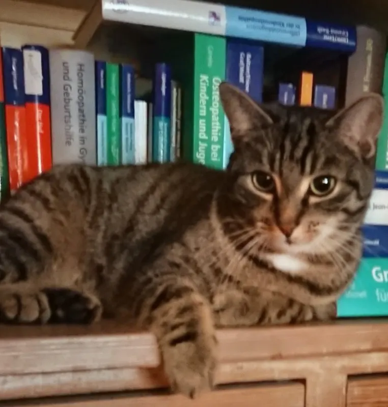 Liesbeth, Waldbröl