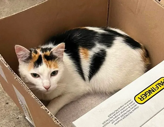 Cleo, Marktoberdorf