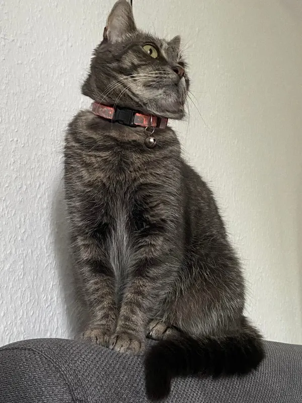 Luna, Straelen