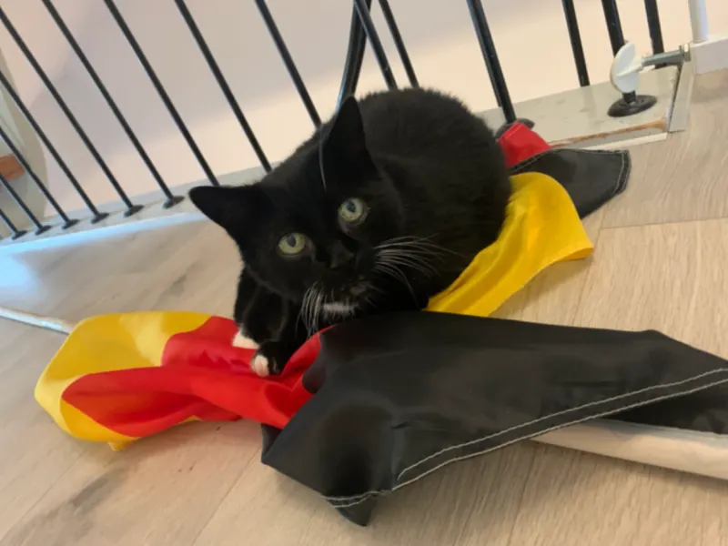 Susi, Arnsberg
