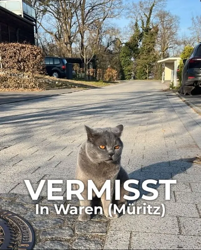 Tony, Waren