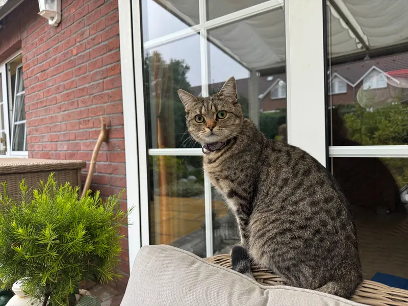 Mila, Waren