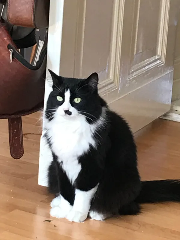 Fiona, Waren
