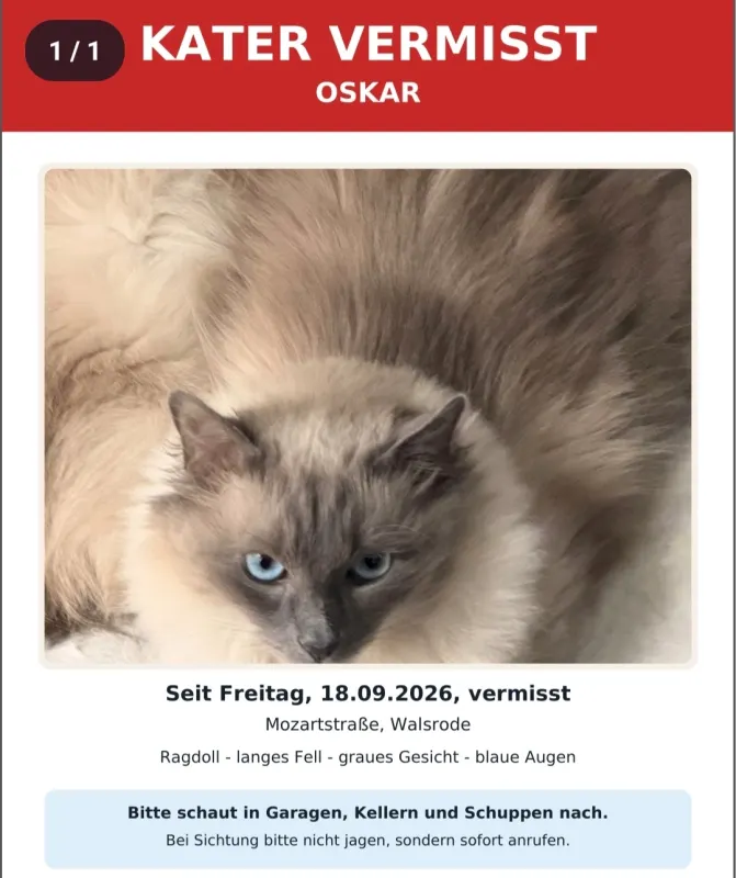 Oscar, Walsrode