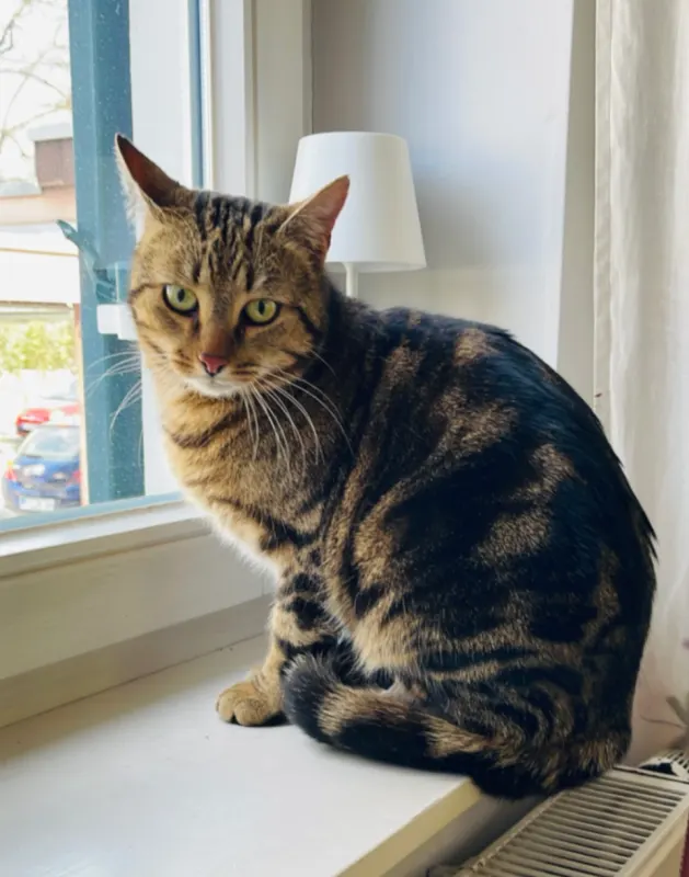 Bruno, Esslingen