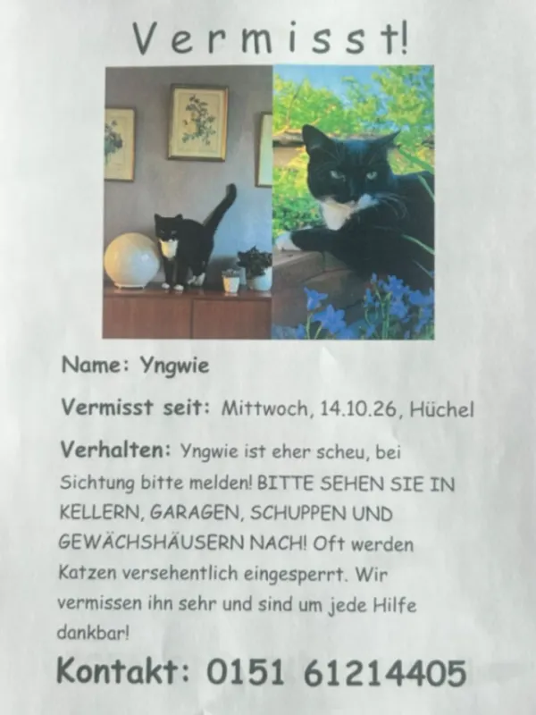 Yngwie, Hennef (Sieg)