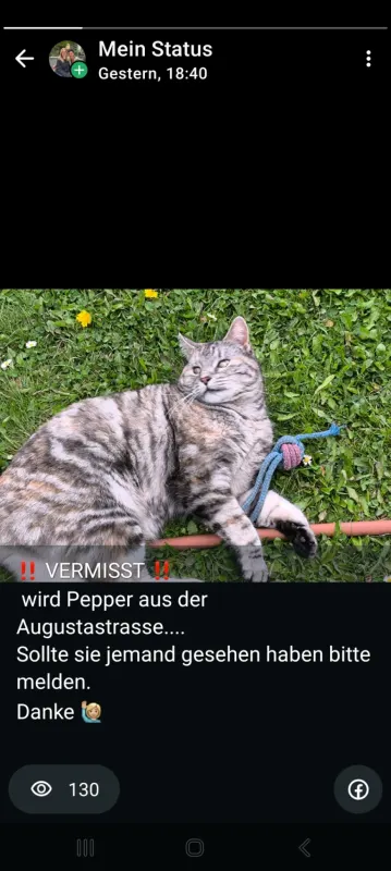 Pepper, Warstein