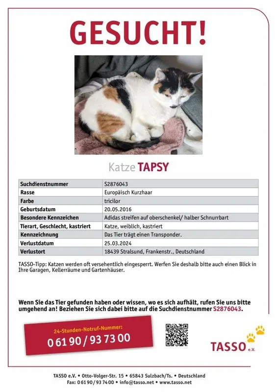 Tapsy, Stralsund
