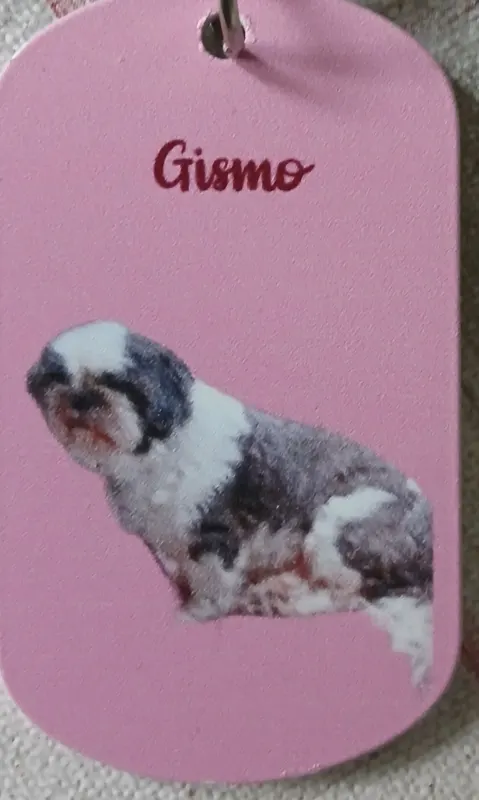 Gismo, Wedel