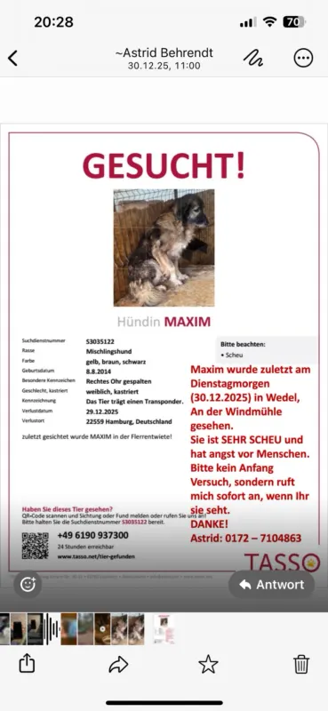 Maxim, Wedel