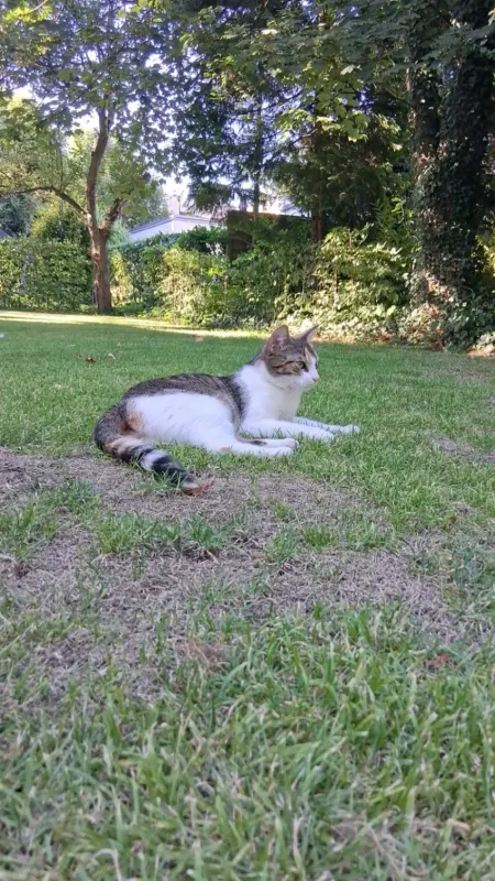 Mimi, Eißendorf