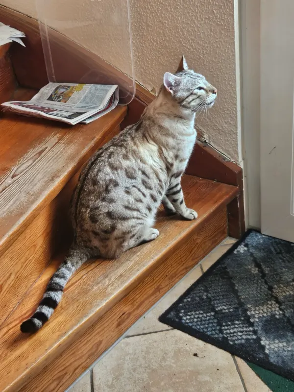 Coco, Eißendorf