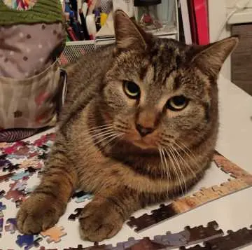 Nala, Bernau bei Berlin