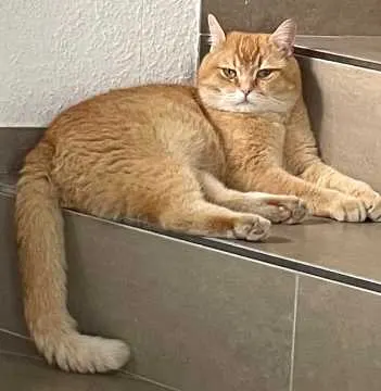 Nacho, Steinfurt