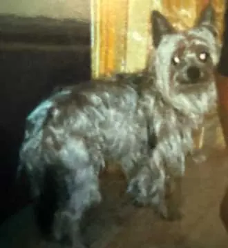 Pancho, Schiltberg