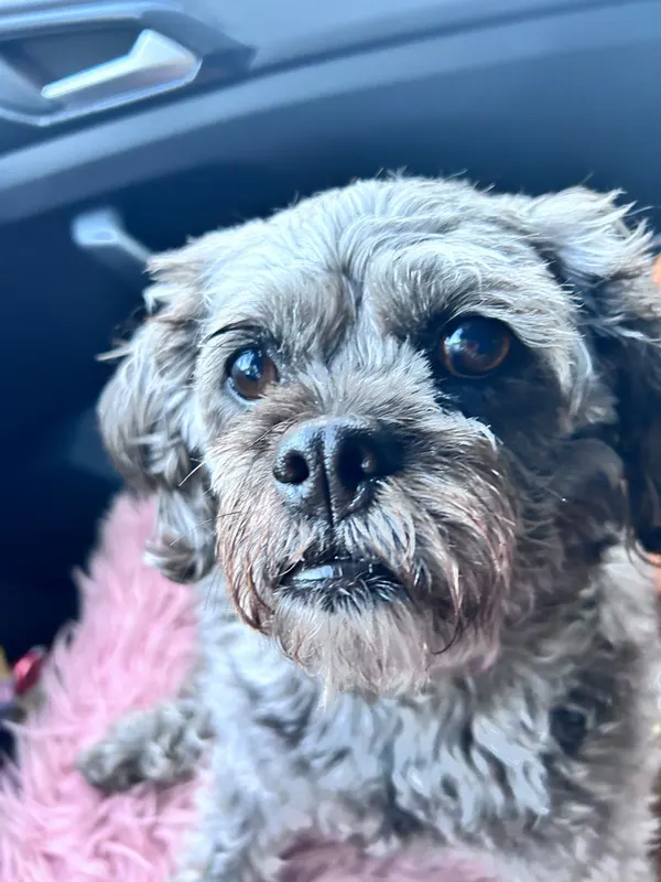 Molly, Eimsbüttel