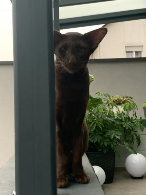Tina, Germersheim