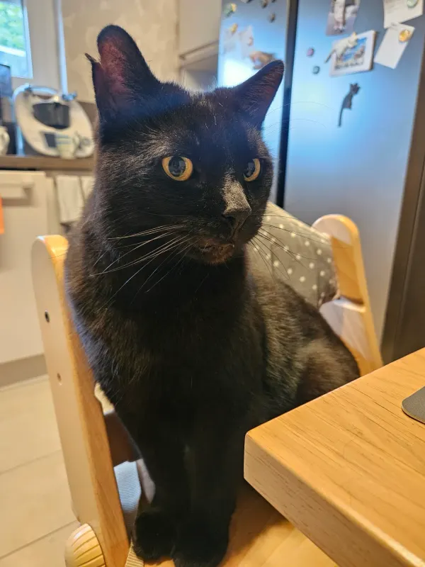 Jack, Wermelskirchen