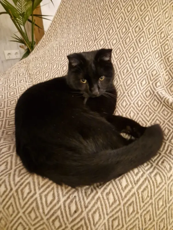 Max, Ludwigsfelde