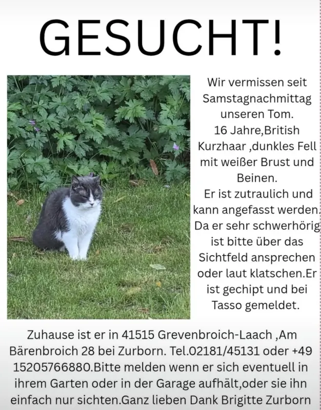 Tom, Grevenbroich