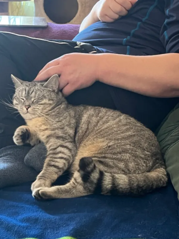 Lilly, Neubrück