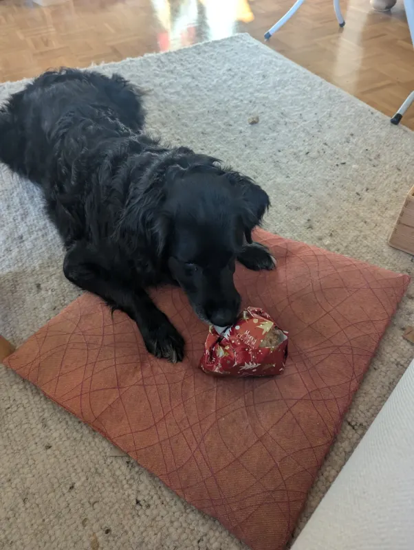 Tommy, Traunstein