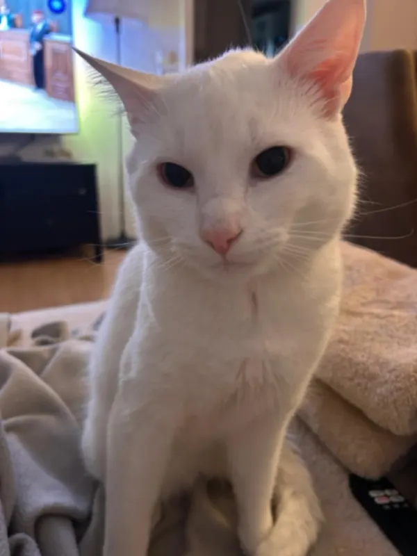 Yuki, Wülfrath
