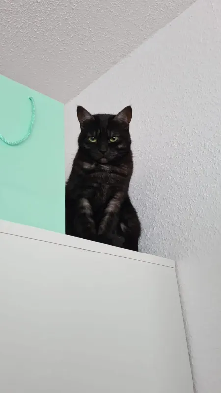 Mila, Sprockhövel