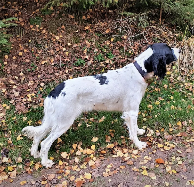 Tilda, Wuppertal