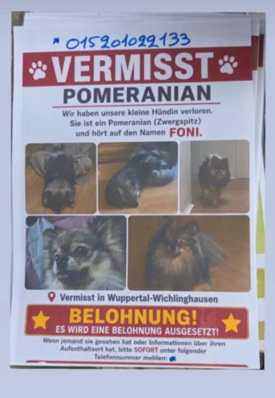 Foni, Schwelm