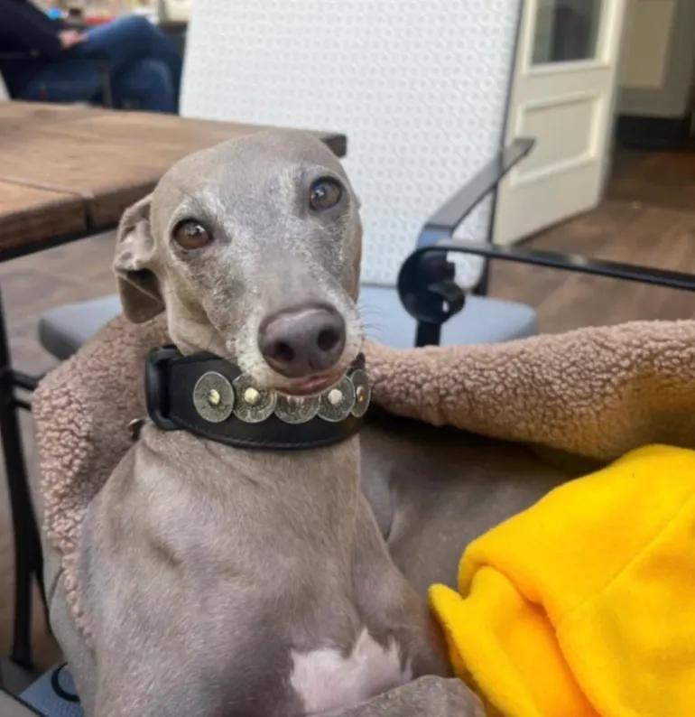 Dobby, Taufkirchen