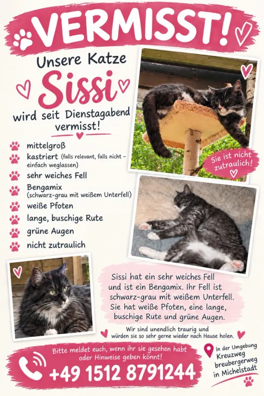 Sissy, Michelstadt