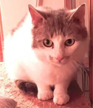 Nelly, Adlkofen