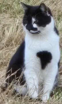 Frau Maier, Holzkirchen