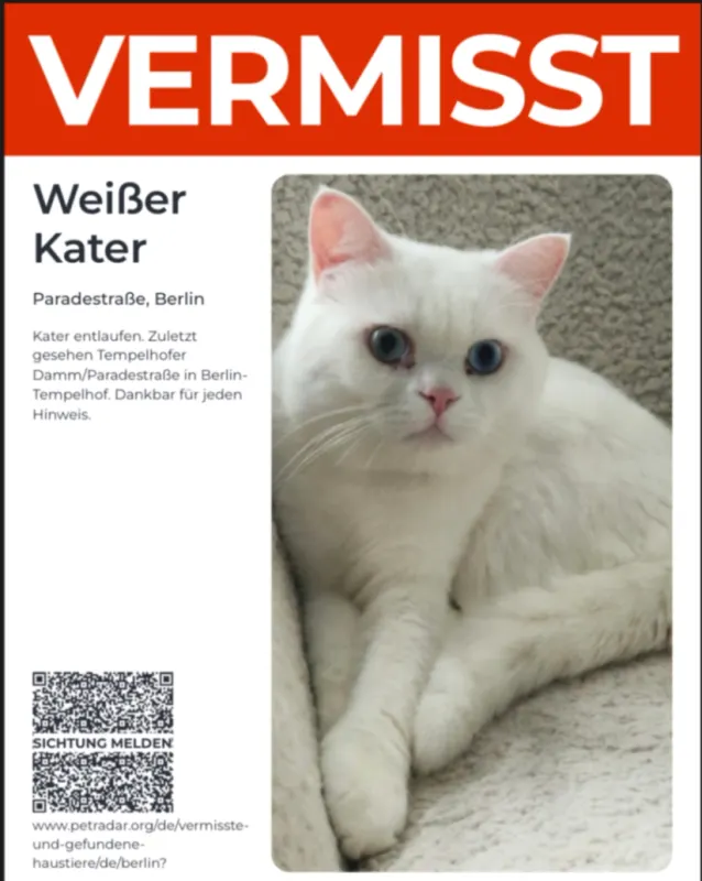 Mein Katar ist weiß, Kreuzberg