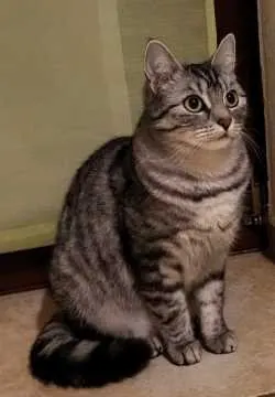 Minka, Stadtroda