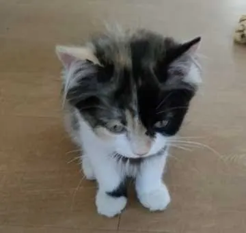 Lucy, Kempten (Allgäu)