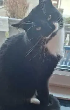 Jack, Minden