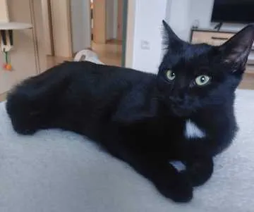 Frieda, Kemnath