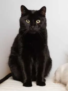Cosmo, Ingersleben