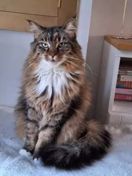 Smokey, München