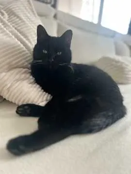 Tigga, Lünen