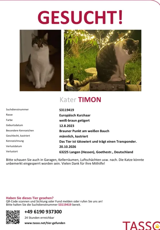 Timon, Langen