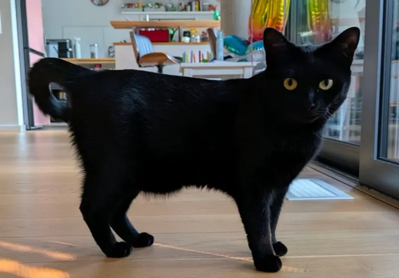 Luna, Äußere Neustadt