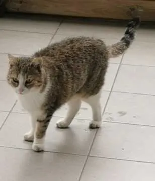Luna, Heek