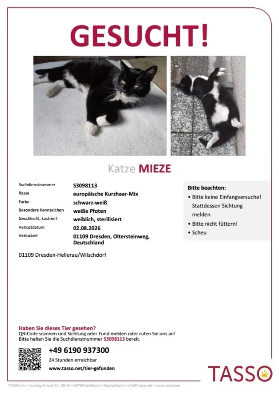 Mauzi, Klotzsche