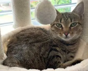 Lilly, Leverkusen